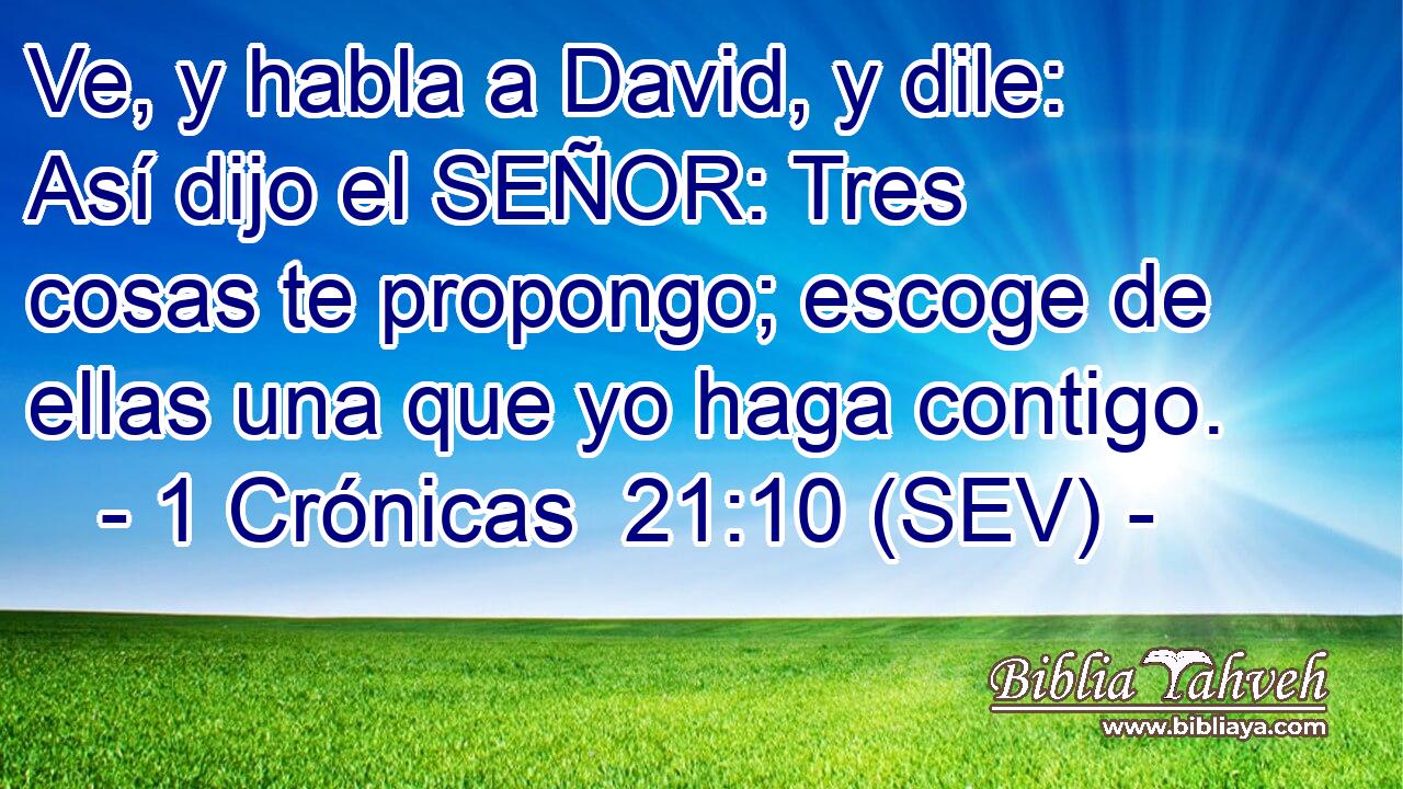 Ve, y habla a David, y dile: Así dijo el SEÑOR: Tres cosas te propongo; escoge de ellas una que yo haga contigo.