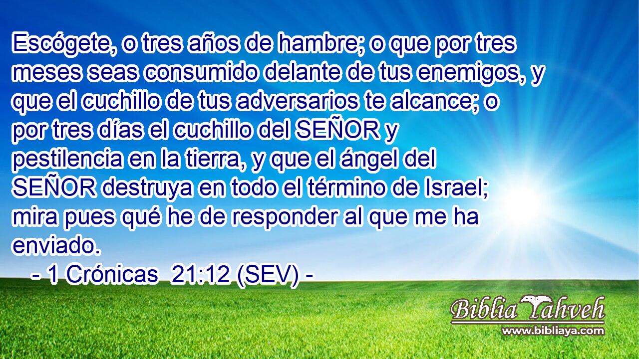 Escógete, o tres años de hambre; o que por tres meses seas consumido delante de tus enemigos, y que el cuchillo de tus adversarios te alcance; o por tres días el cuchillo del SEÑOR y pestilencia en la tierra, y que el ángel del SEÑOR destruya en todo el término de Israel; mira pues qué he de responder al que me ha enviado.