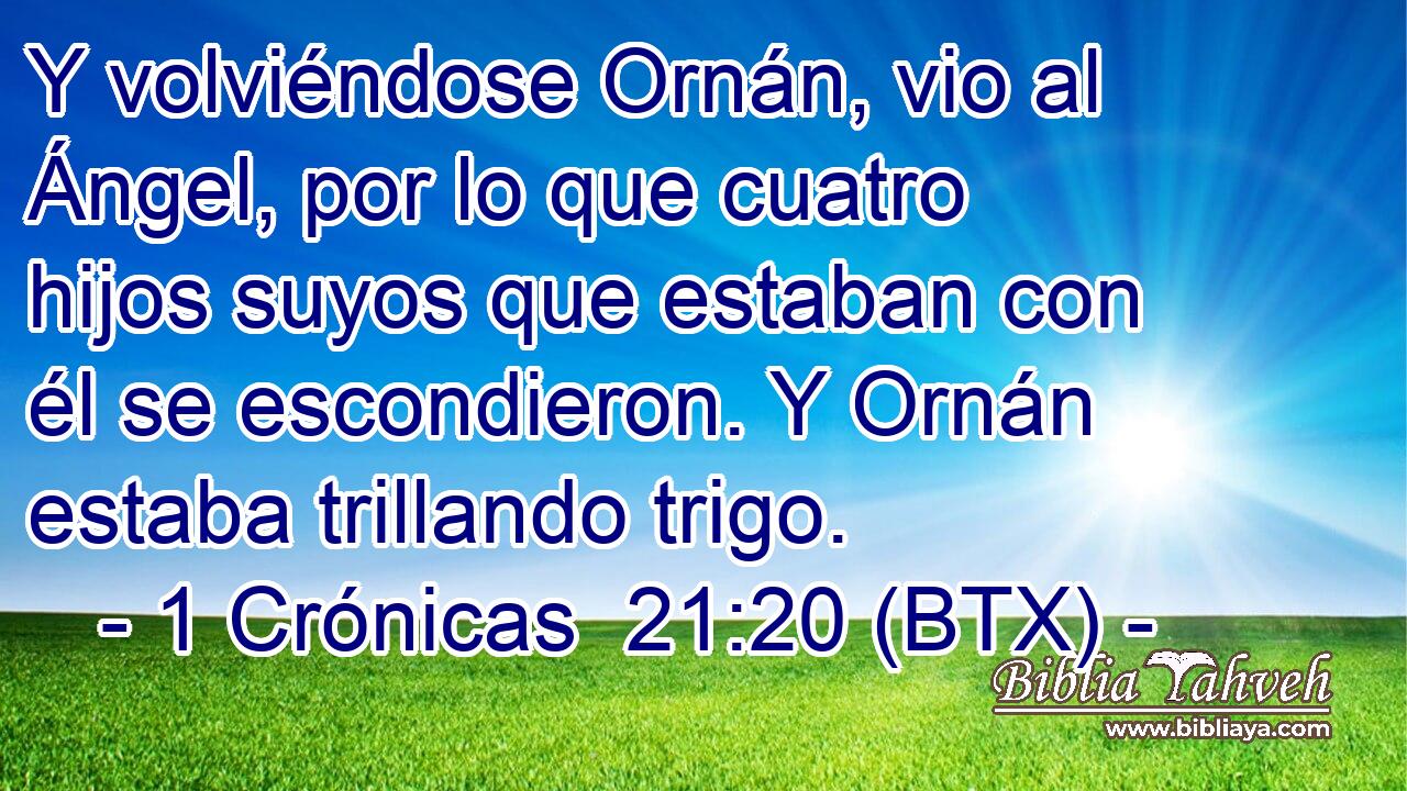 Y volviéndose Ornán, vio al Ángel, por lo que cuatro hijos suyos que estaban con él se escondieron. Y Ornán estaba trillando trigo.