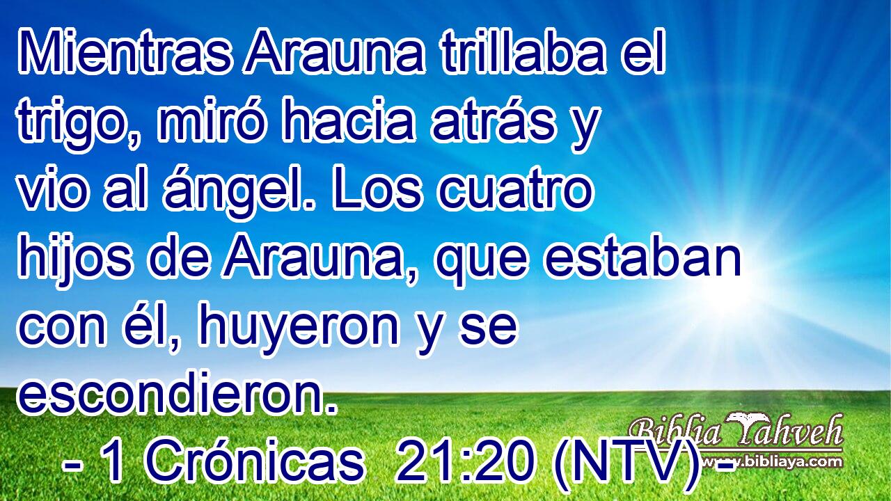 Mientras Arauna trillaba el trigo, miró hacia atrás y vio al ángel. Los cuatro hijos de Arauna, que estaban con él, huyeron y se escondieron.