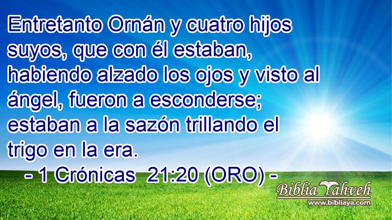  Entretanto Ornán y cuatro hijos suyos, que con él estaban, habiendo alzado los ojos y visto al ángel, fueron a esconderse; estaban a la sazón trillando el trigo en la era. 