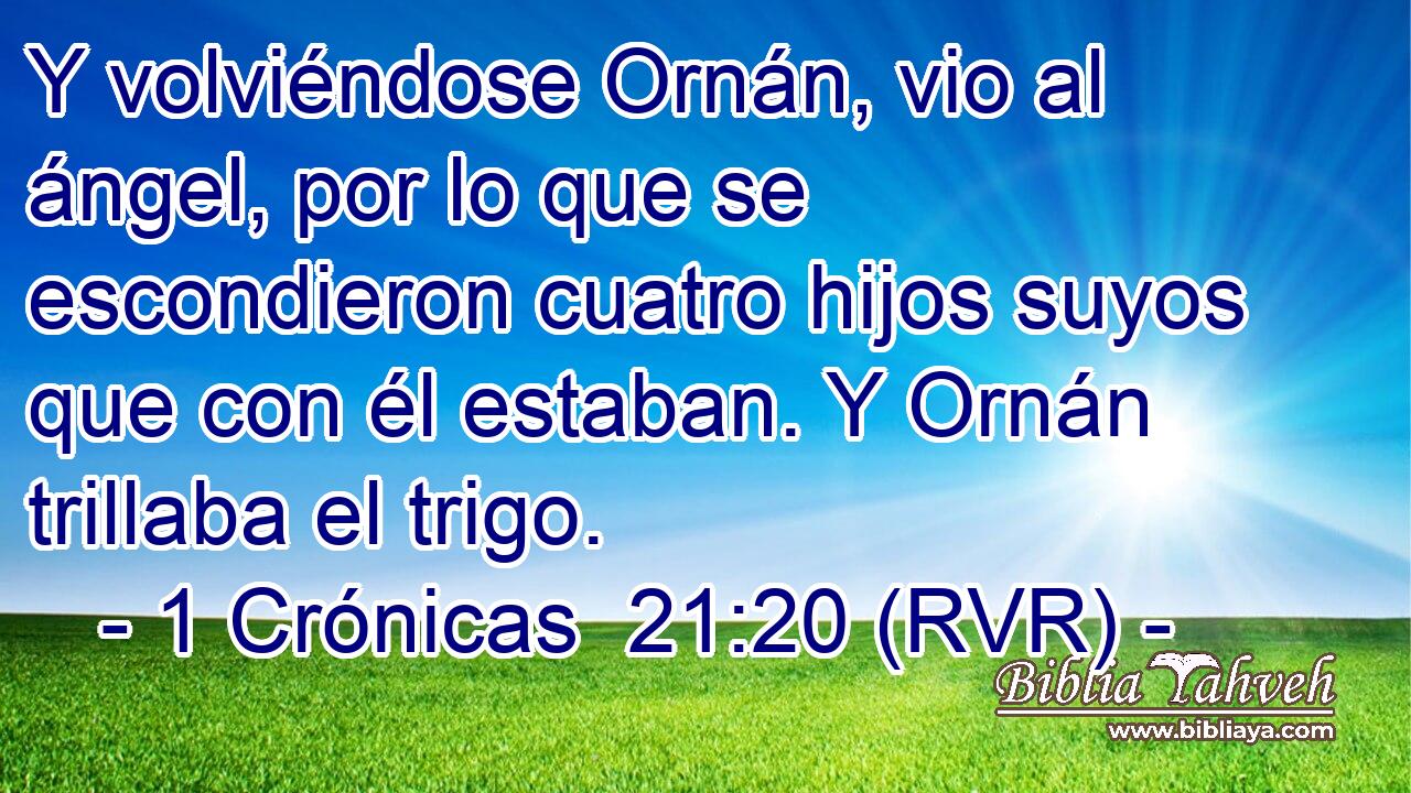 Y volviéndose Ornán, vio al ángel, por lo que se escondieron cuatro hijos suyos que con él estaban. Y Ornán trillaba el trigo.