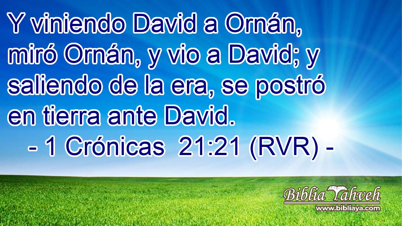 Y viniendo David a Ornán, miró Ornán, y vio a David; y saliendo de la era, se postró en tierra ante David.