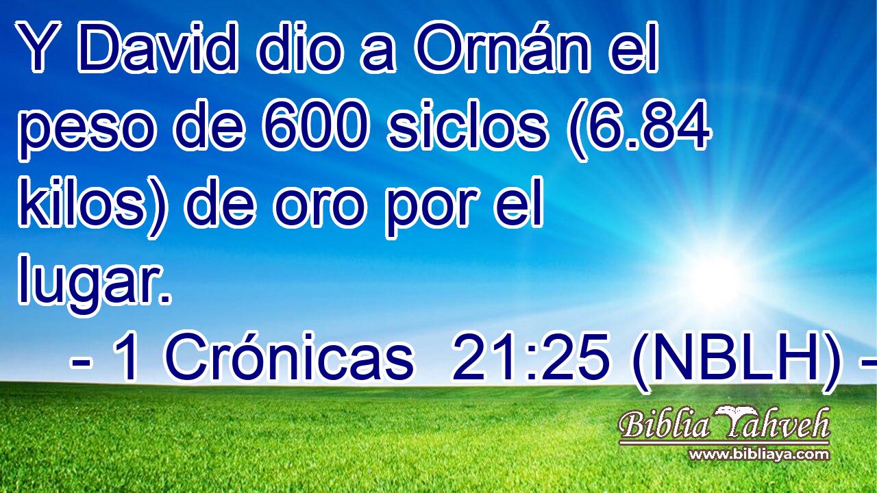  Y David dio a Ornán el peso de 600 siclos (6.84 kilos) de oro por el lugar. 