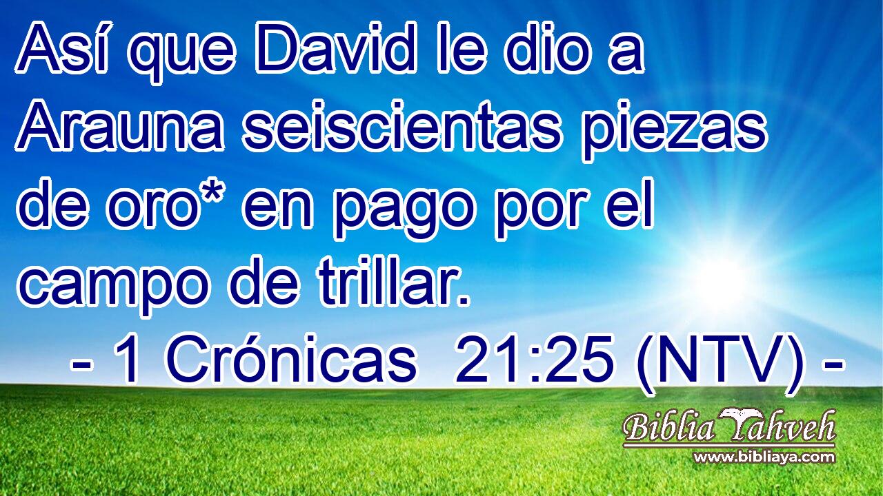 Así que David le dio a Arauna seiscientas piezas de oro* en pago por el campo de trillar.