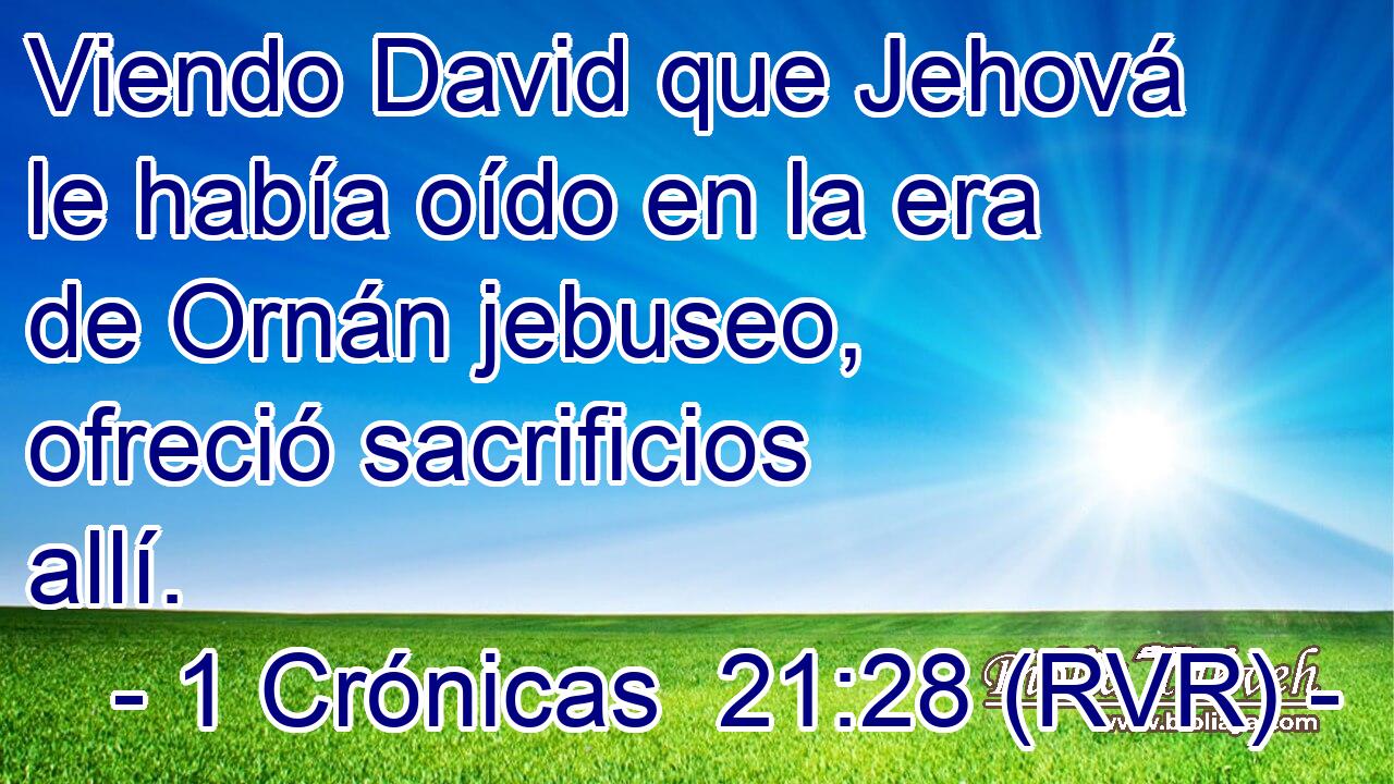 Viendo David que Jehová le había oído en la era de Ornán jebuseo, ofreció sacrificios allí.
