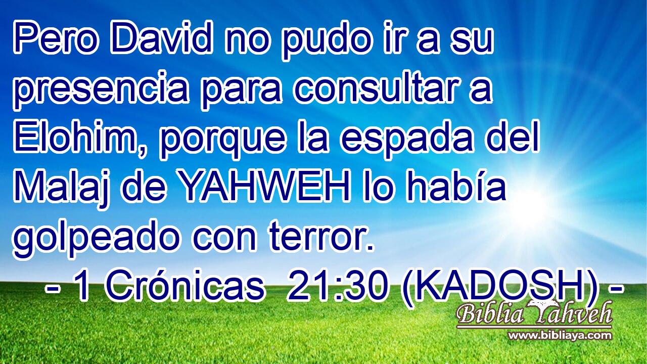  Pero David no pudo ir a su presencia para consultar a Elohim, porque la espada del Malaj de YAHWEH lo había golpeado con terror. 