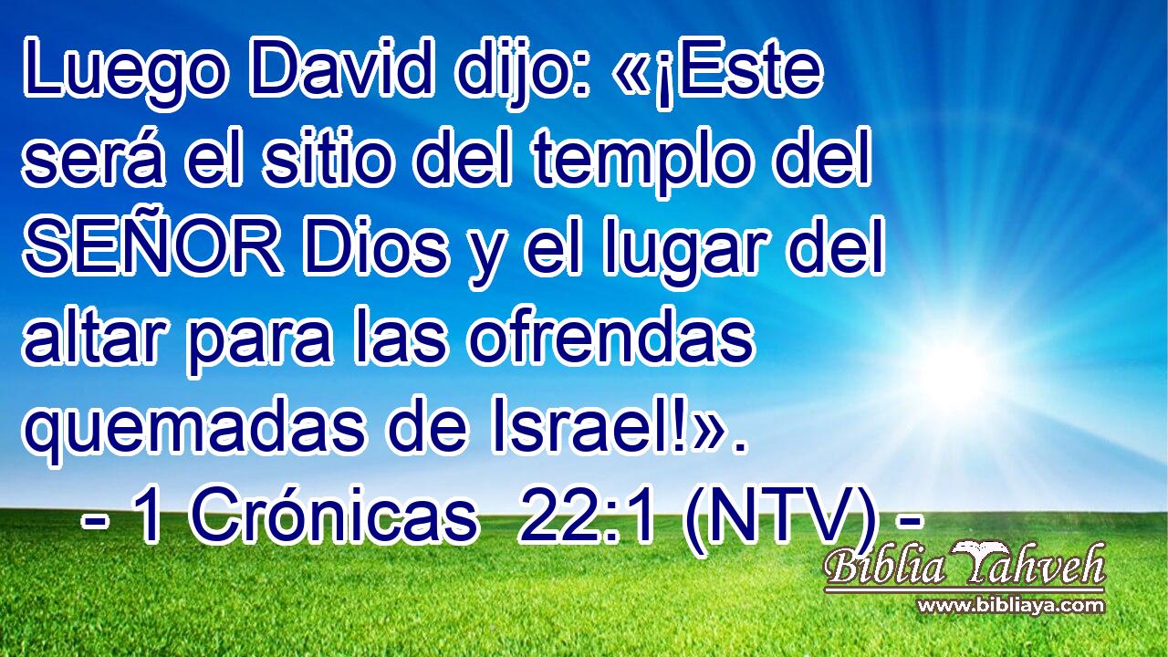 Luego David dijo: «¡Este será el sitio del templo del SEÑOR Dios y el lugar del altar para las ofrendas quemadas de Israel!».