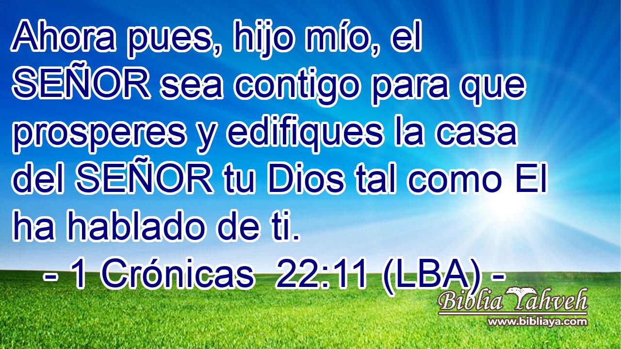 Ahora pues, hijo mío, el SEÑOR sea contigo para que prosperes y edifiques la casa del SEÑOR tu Dios tal como El ha hablado de ti.
