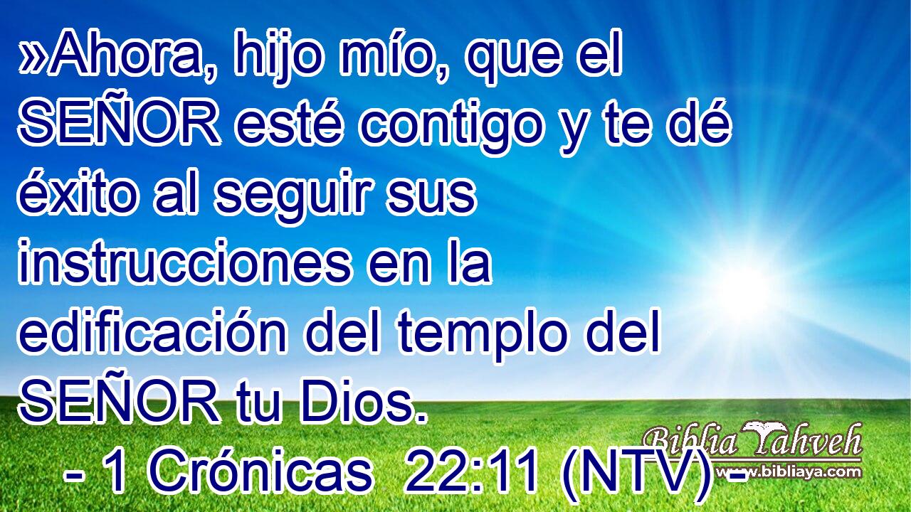 »Ahora, hijo mío, que el SEÑOR esté contigo y te dé éxito al seguir sus instrucciones en la edificación del templo del SEÑOR tu Dios.