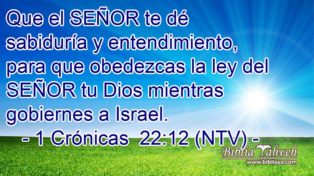 Que el SEÑOR te dé sabiduría y entendimiento, para que obedezcas la ley del SEÑOR tu Dios mientras gobiernes a Israel.