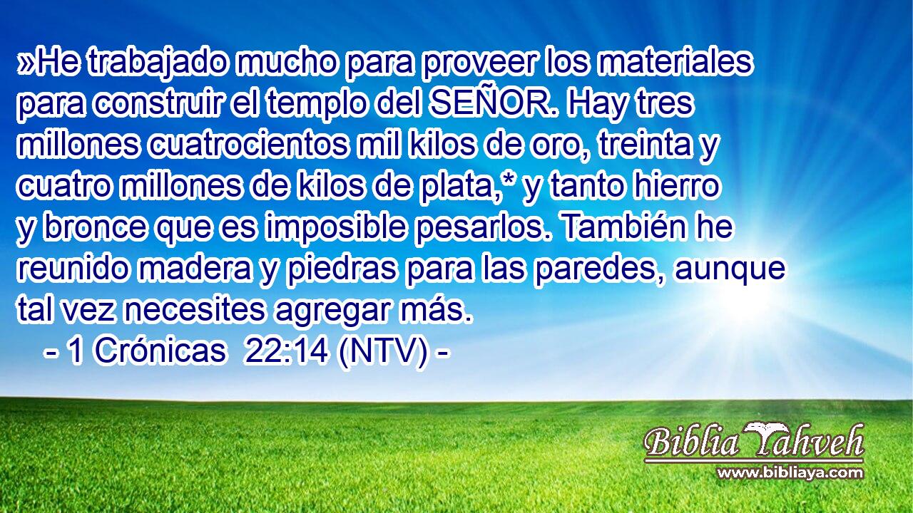 »He trabajado mucho para proveer los materiales para construir el templo del SEÑOR. Hay tres millones cuatrocientos mil kilos de oro, treinta y cuatro millones de kilos de plata,* y tanto hierro y bronce que es imposible pesarlos. También he reunido madera y piedras para las paredes, aunque tal vez necesites agregar más.