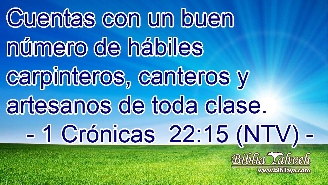 Cuentas con un buen número de hábiles carpinteros, canteros y artesanos de toda clase.