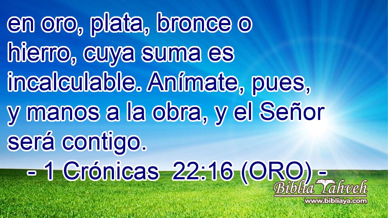  en oro, plata, bronce o hierro, cuya suma es incalculable. Anímate, pues, y manos a la obra, y el Señor será contigo. 