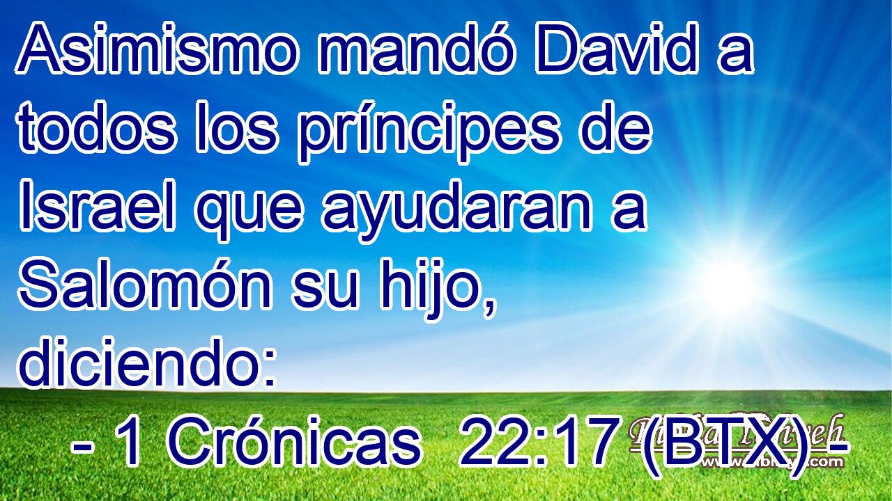 Asimismo mandó David a todos los príncipes de Israel que ayudaran a Salomón su hijo, diciendo: