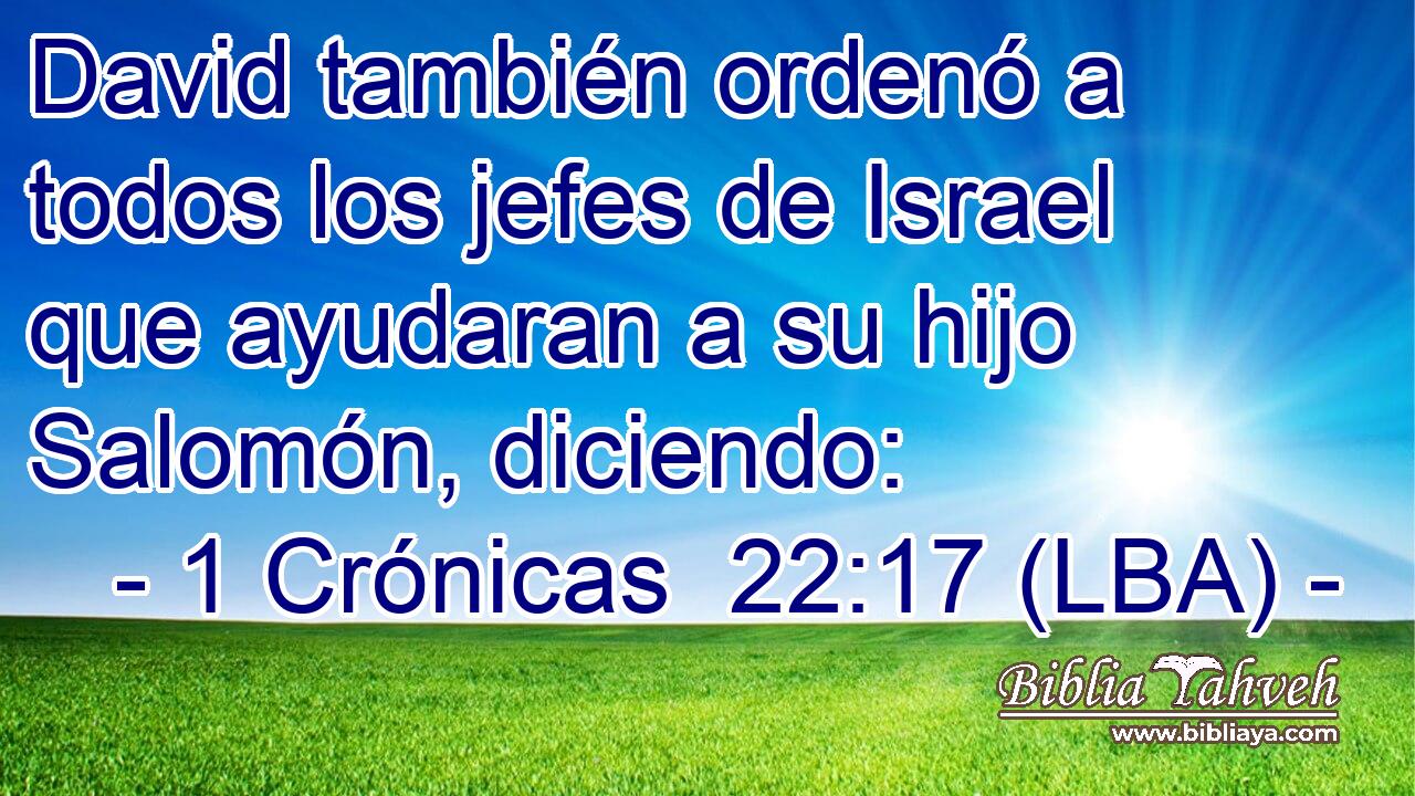 David también ordenó a todos los jefes de Israel que ayudaran a su hijo Salomón, diciendo: