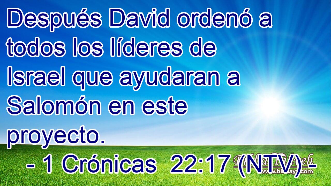 Después David ordenó a todos los líderes de Israel que ayudaran a Salomón en este proyecto.