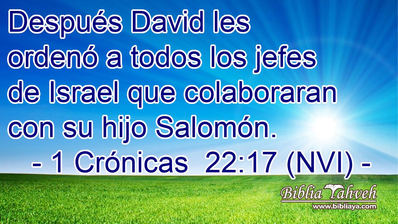  Después David les ordenó a todos los jefes de Israel que colaboraran con su hijo Salomón. 