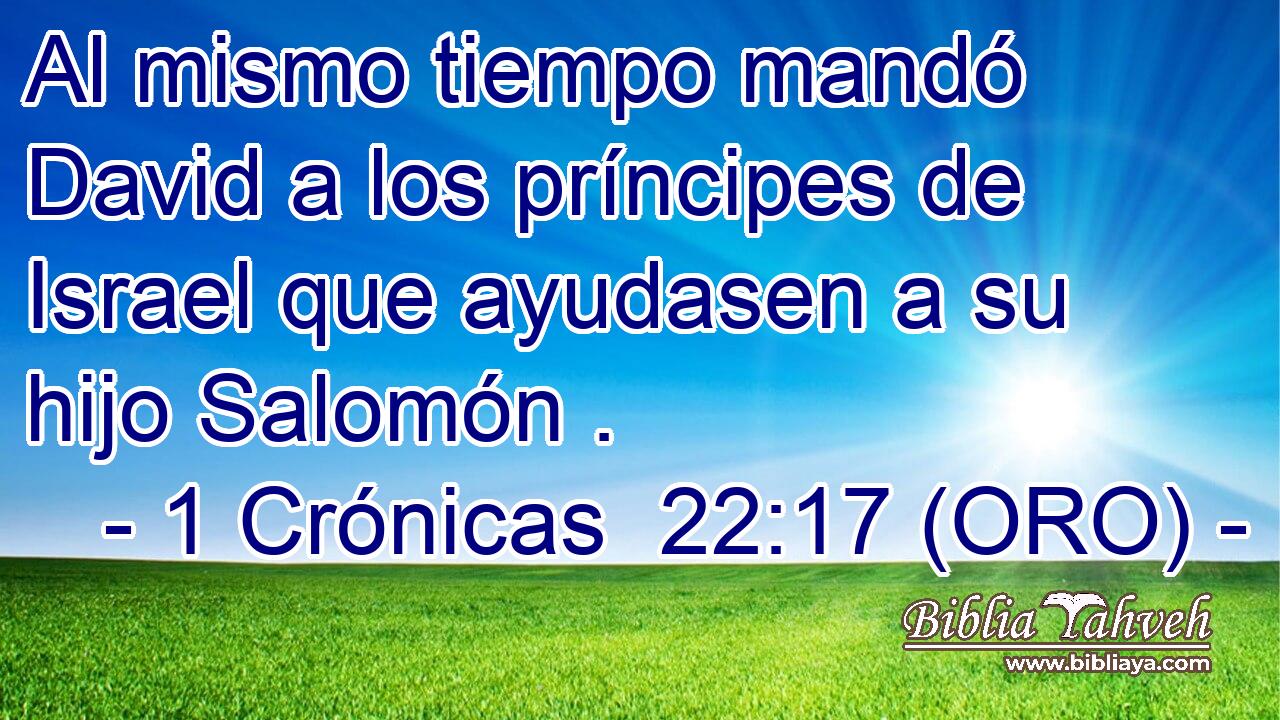  Al mismo tiempo mandó David a los príncipes de Israel que ayudasen a su hijo Salomón . 