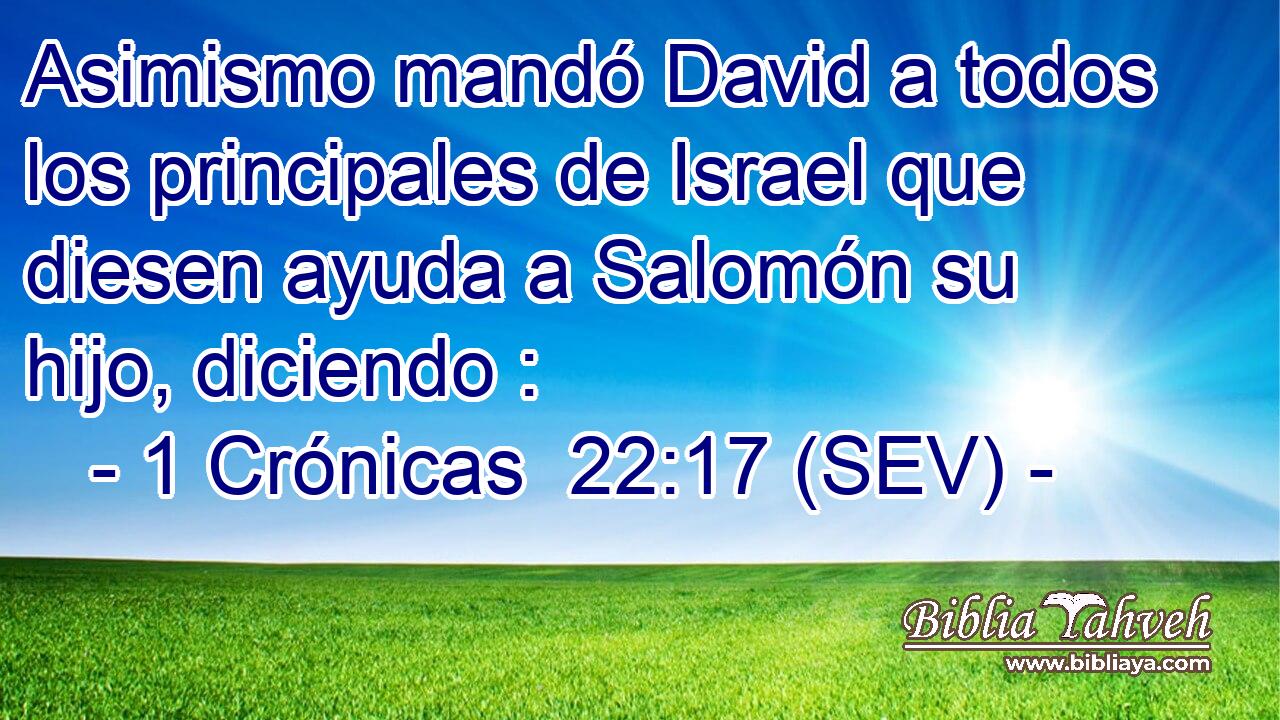 Asimismo mandó David a todos los principales de Israel que diesen ayuda a Salomón su hijo, diciendo :