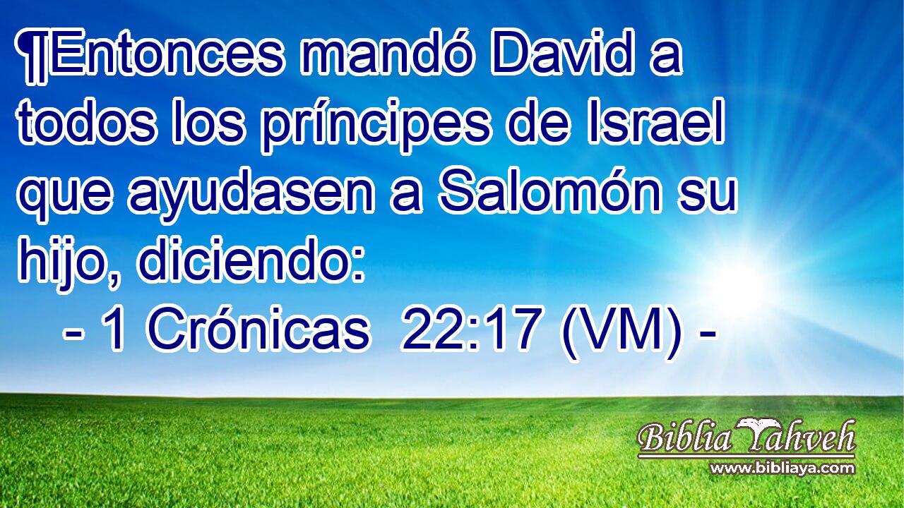  ¶Entonces mandó David a todos los príncipes de Israel que ayudasen a Salomón su hijo, diciendo: 