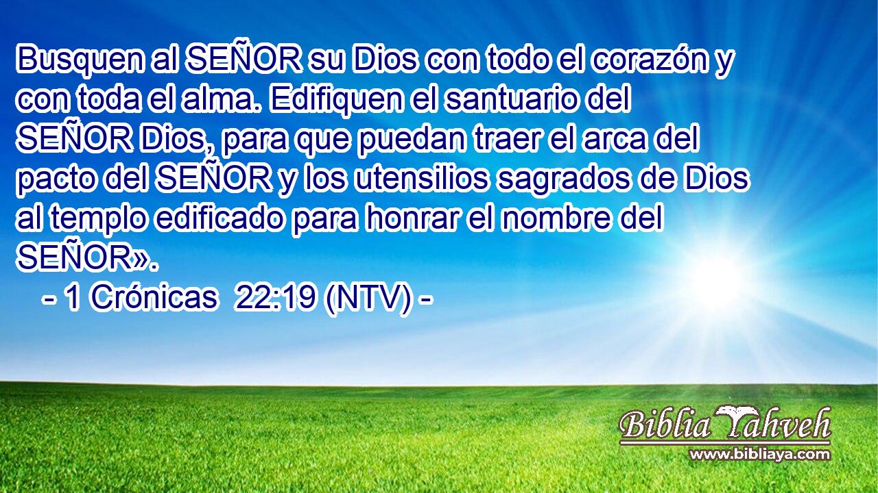 Busquen al SEÑOR su Dios con todo el corazón y con toda el alma. Edifiquen el santuario del SEÑOR Dios, para que puedan traer el arca del pacto del SEÑOR y los utensilios sagrados de Dios al templo edificado para honrar el nombre del SEÑOR».