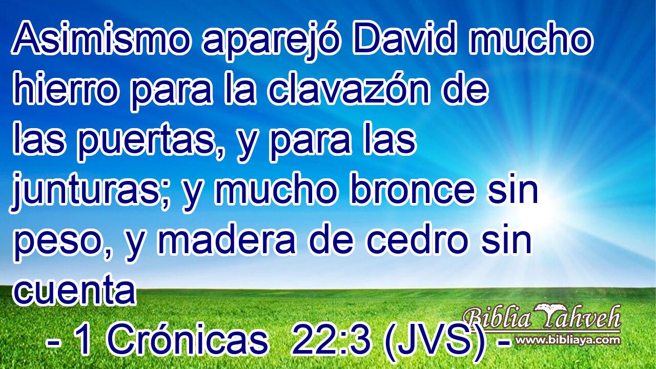 Asimismo aparejó David mucho hierro para la clavazón de las puertas, y para las junturas; y mucho bronce sin peso, y madera de cedro sin cuenta