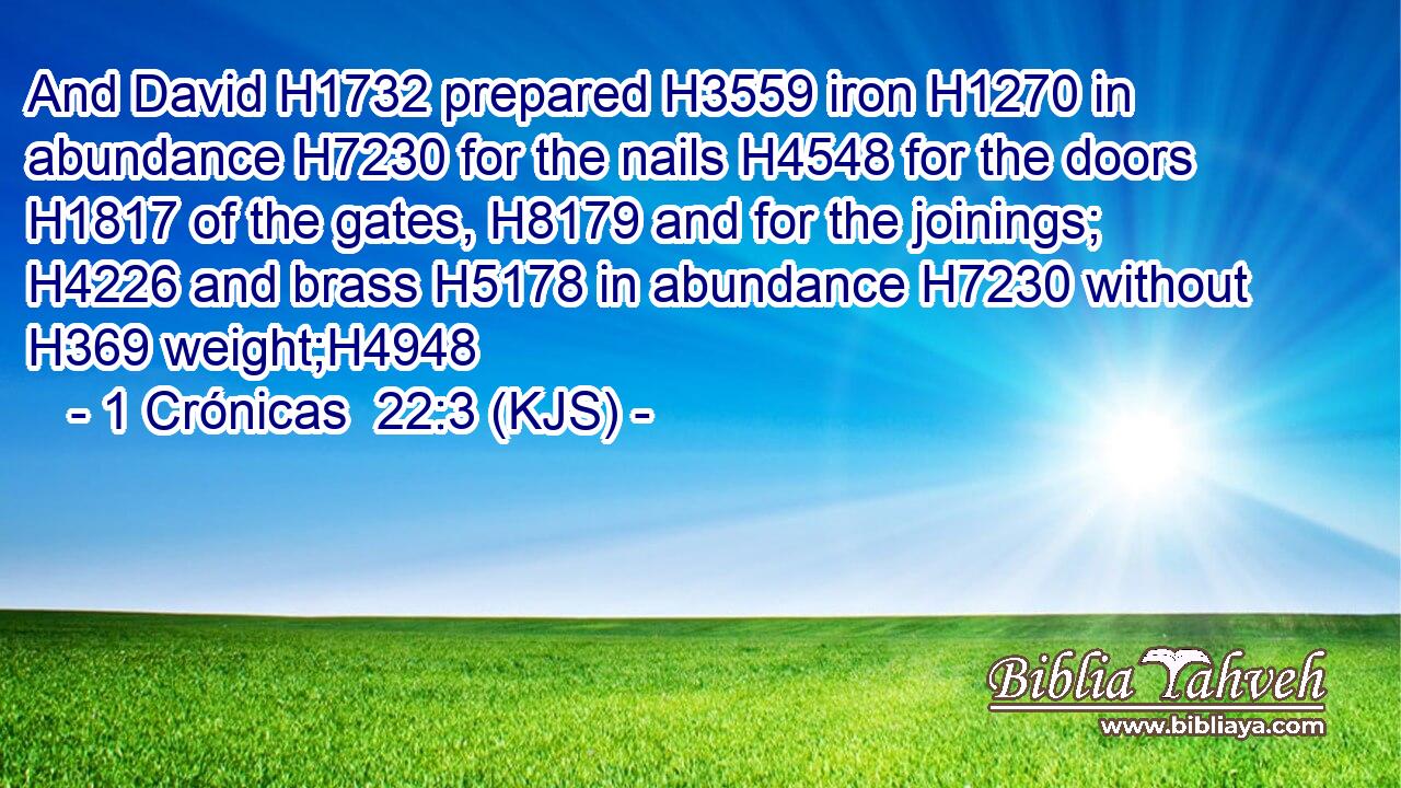 And David H1732 prepared H3559 iron H1270 in abundance H7230 for the nails H4548 for the doors H1817 of the gates, H8179 and for the joinings; H4226 and brass H5178 in abundance H7230 without H369 weight;H4948