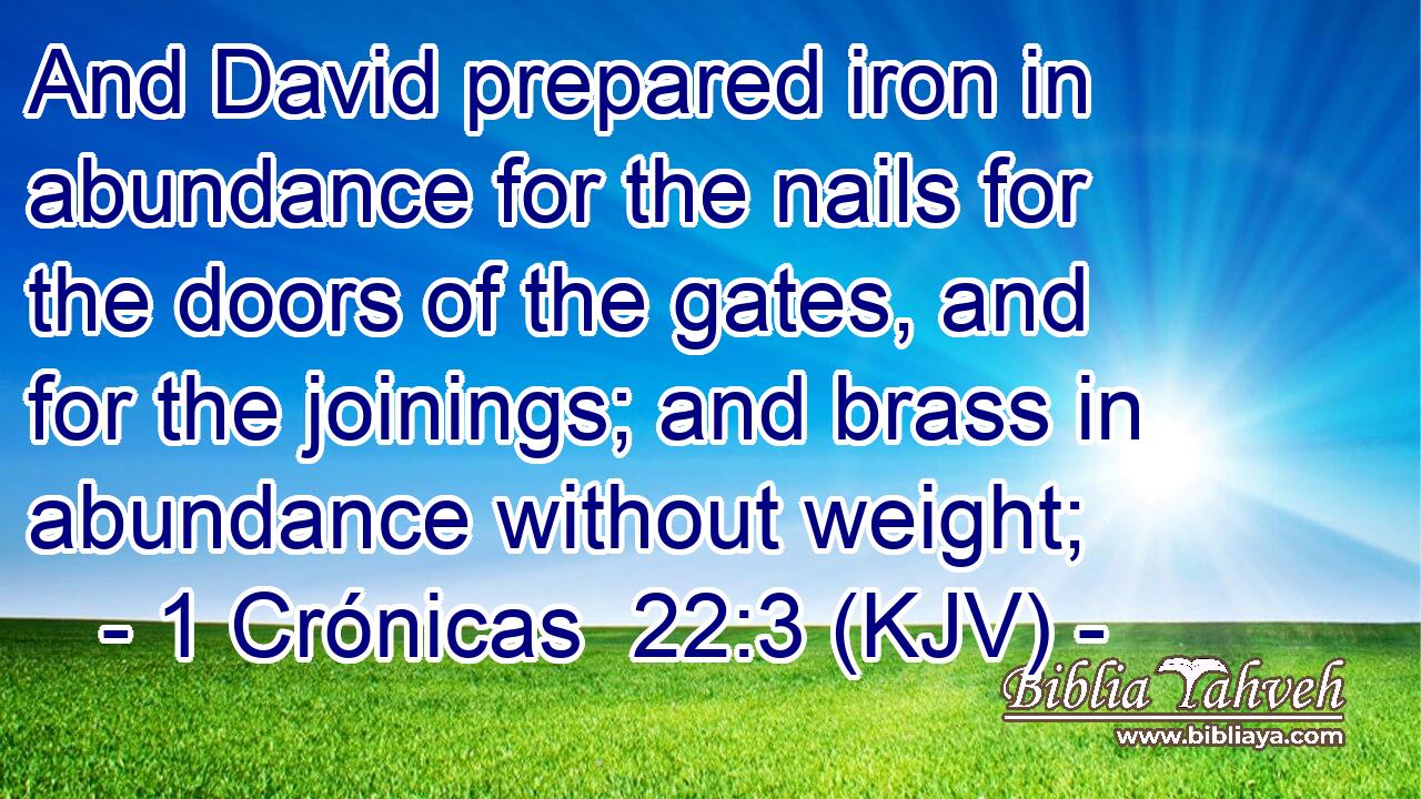 And David prepared iron in abundance for the nails for the doors of the gates, and for the joinings; and brass in abundance without weight;