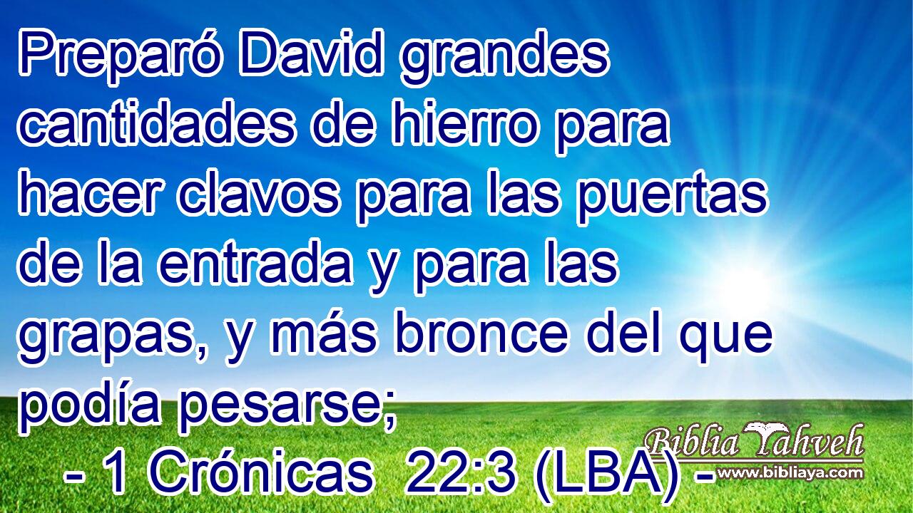 Preparó David grandes cantidades de hierro para hacer clavos para las puertas de la entrada y para las grapas, y más bronce del que podía pesarse;