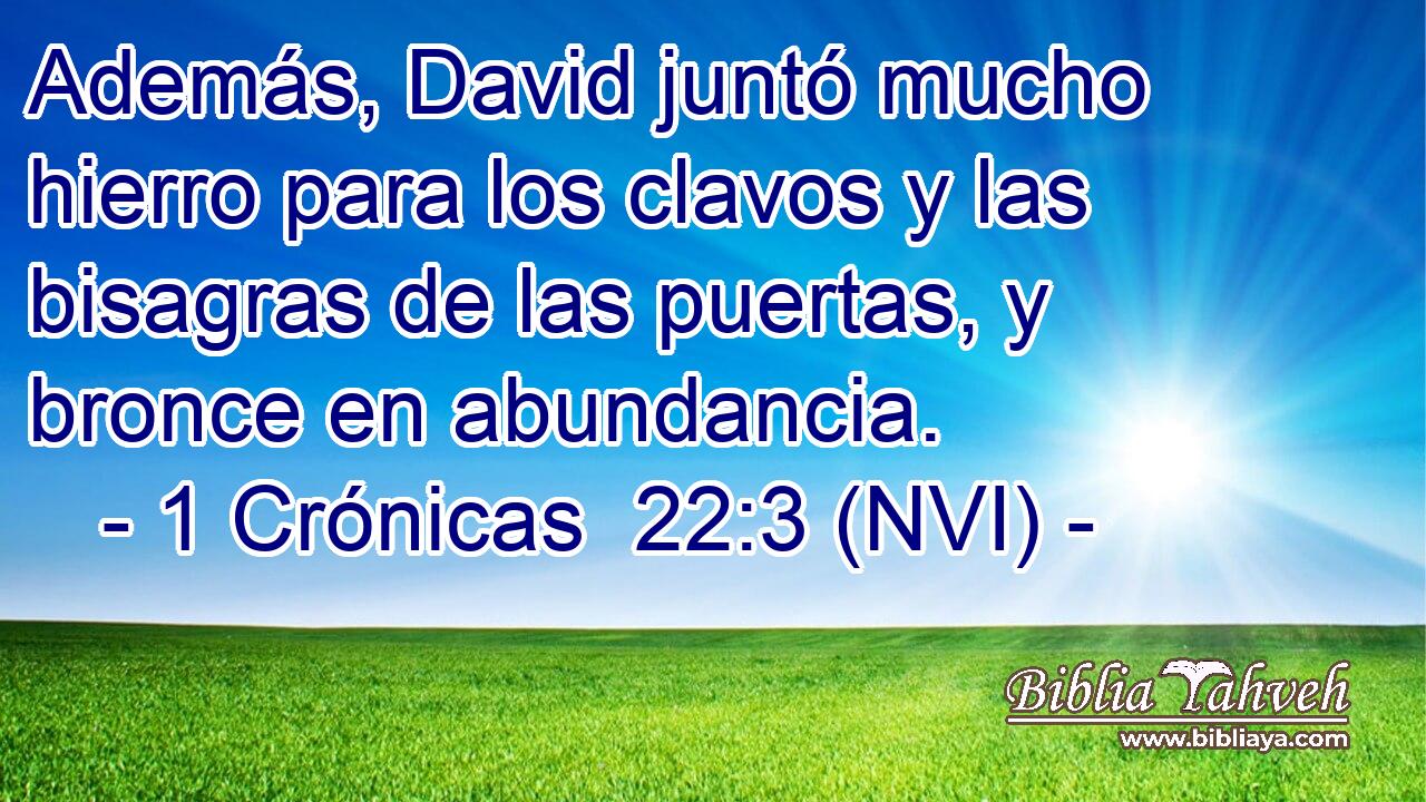  Además, David juntó mucho hierro para los clavos y las bisagras de las puertas, y bronce en abundancia. 