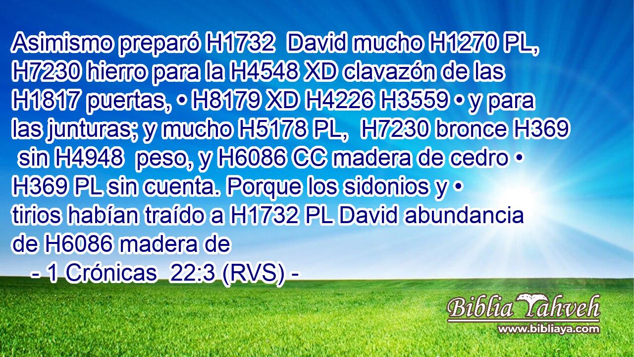 Asimismo preparó H1732  David mucho H1270 PL,  H7230 hierro para la H4548 XD clavazón de las H1817 puertas, • H8179 XD H4226 H3559 • y para las junturas; y mucho H5178 PL,  H7230 bronce H369  sin H4948  peso, y H6086 CC madera de cedro • H369 PL sin cuenta. Porque los sidonios y • tirios habían traído a H1732 PL David abundancia de H6086 madera de 
