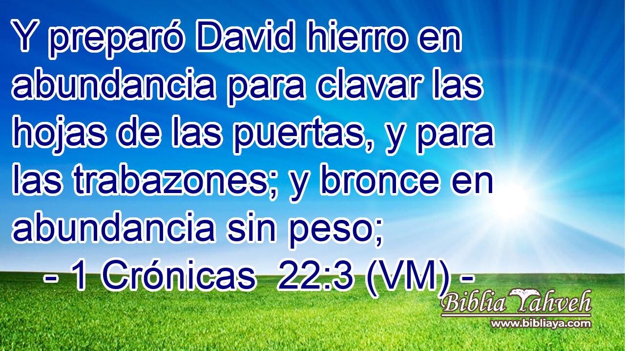  Y preparó David hierro en abundancia para clavar las hojas de las puertas, y para las trabazones; y bronce en abundancia sin peso; 