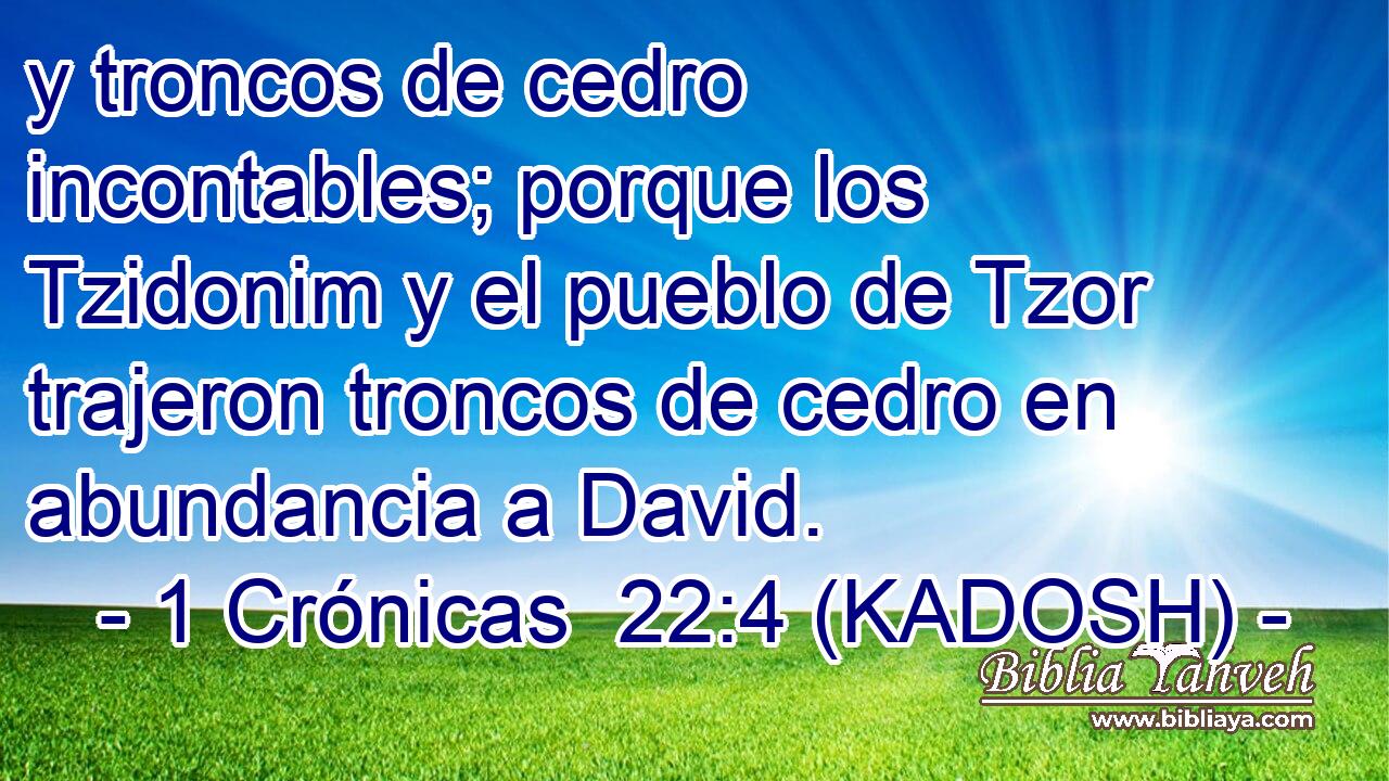  y troncos de cedro incontables; porque los Tzidonim y el pueblo de Tzor trajeron troncos de cedro en abundancia a David. 