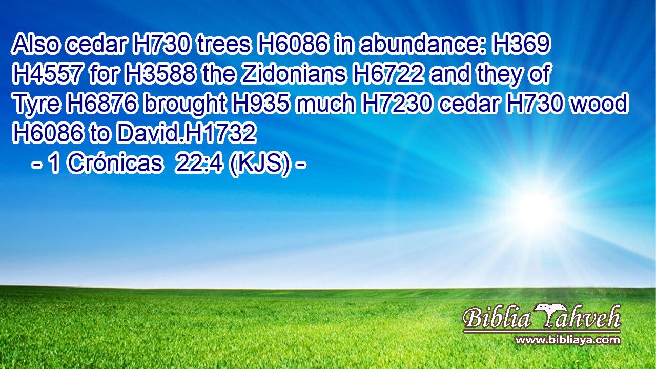 Also cedar H730 trees H6086 in abundance: H369  H4557 for H3588 the Zidonians H6722 and they of Tyre H6876 brought H935 much H7230 cedar H730 wood H6086 to David.H1732