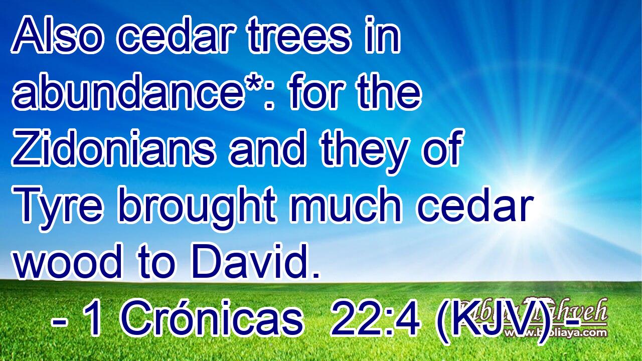 Also cedar trees in abundance*: for the Zidonians and they of Tyre brought much cedar wood to David.