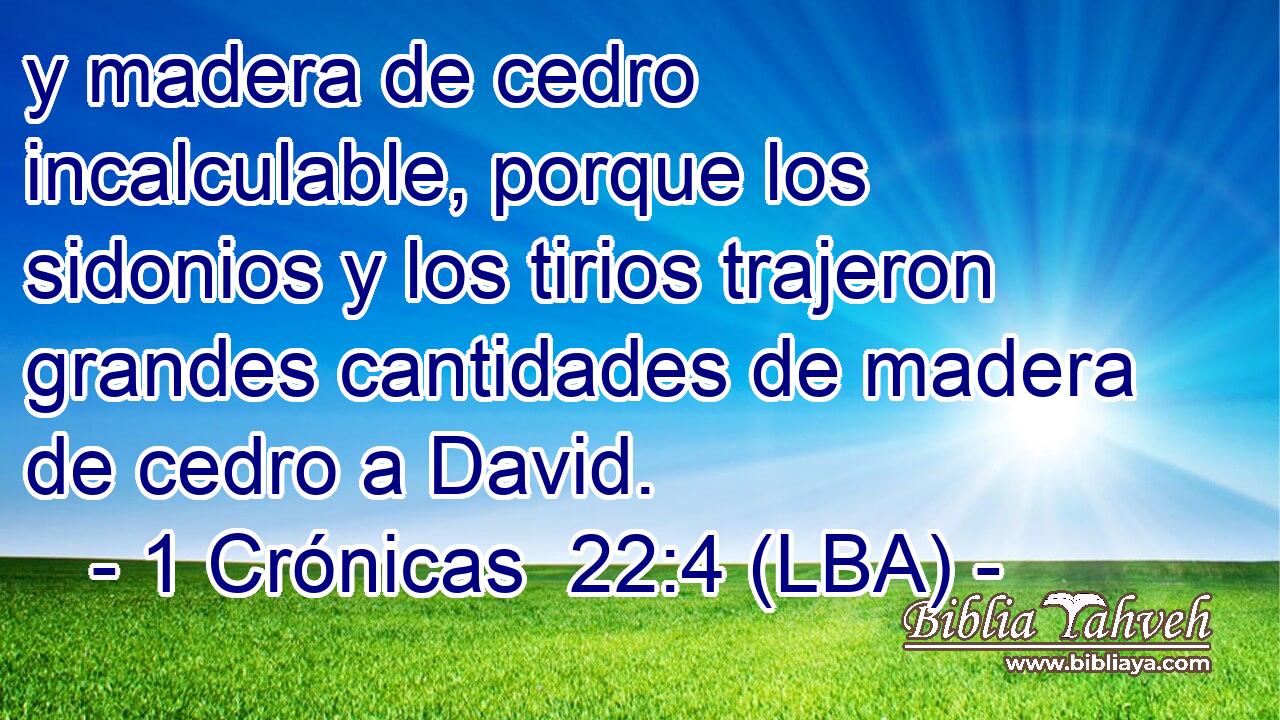 y madera de cedro incalculable, porque los sidonios y los tirios trajeron grandes cantidades de madera de cedro a David.