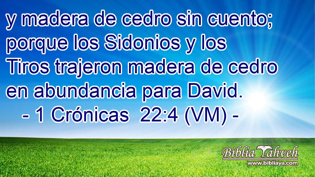  y madera de cedro sin cuento; porque los Sidonios y los Tiros trajeron madera de cedro en abundancia para David. 