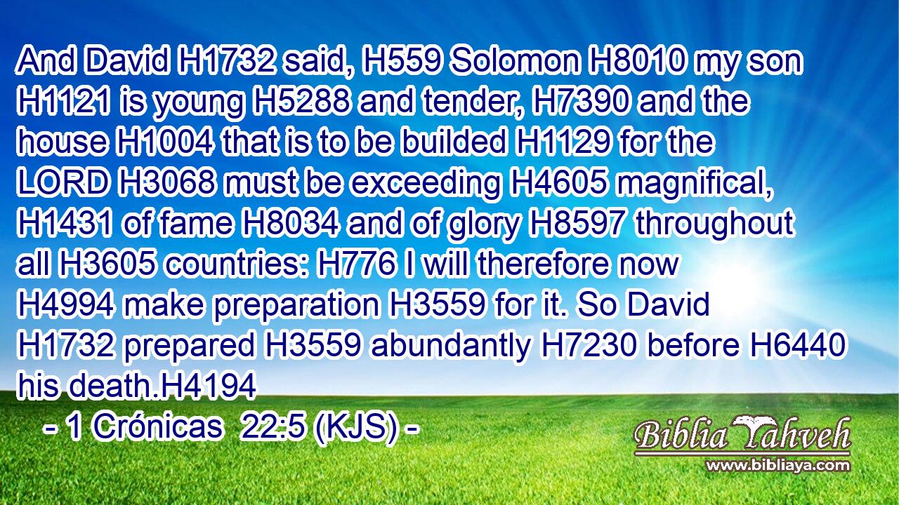 And David H1732 said, H559 Solomon H8010 my son H1121 is young H5288 and tender, H7390 and the house H1004 that is to be builded H1129 for the LORD H3068 must be exceeding H4605 magnifical, H1431 of fame H8034 and of glory H8597 throughout all H3605 countries: H776 I will therefore now H4994 make preparation H3559 for it. So David H1732 prepared H3559 abundantly H7230 before H6440 his death.H4194