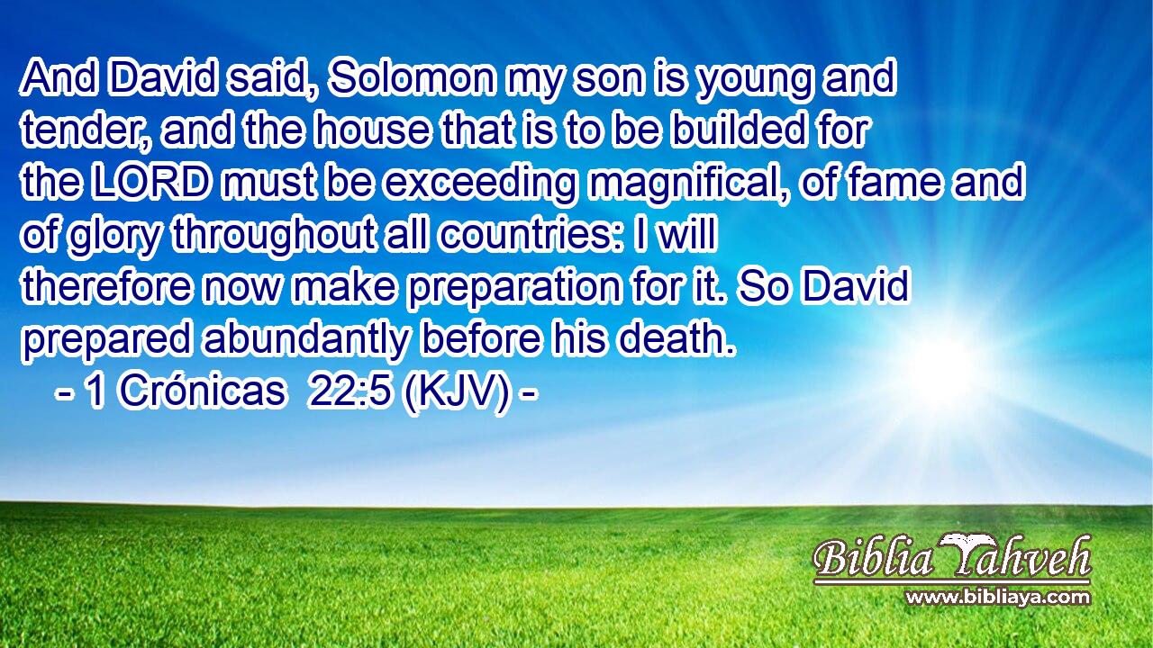 And David said, Solomon my son is young and tender, and the house that is to be builded for the LORD must be exceeding magnifical, of fame and of glory throughout all countries: I will therefore now make preparation for it. So David prepared abundantly before his death.