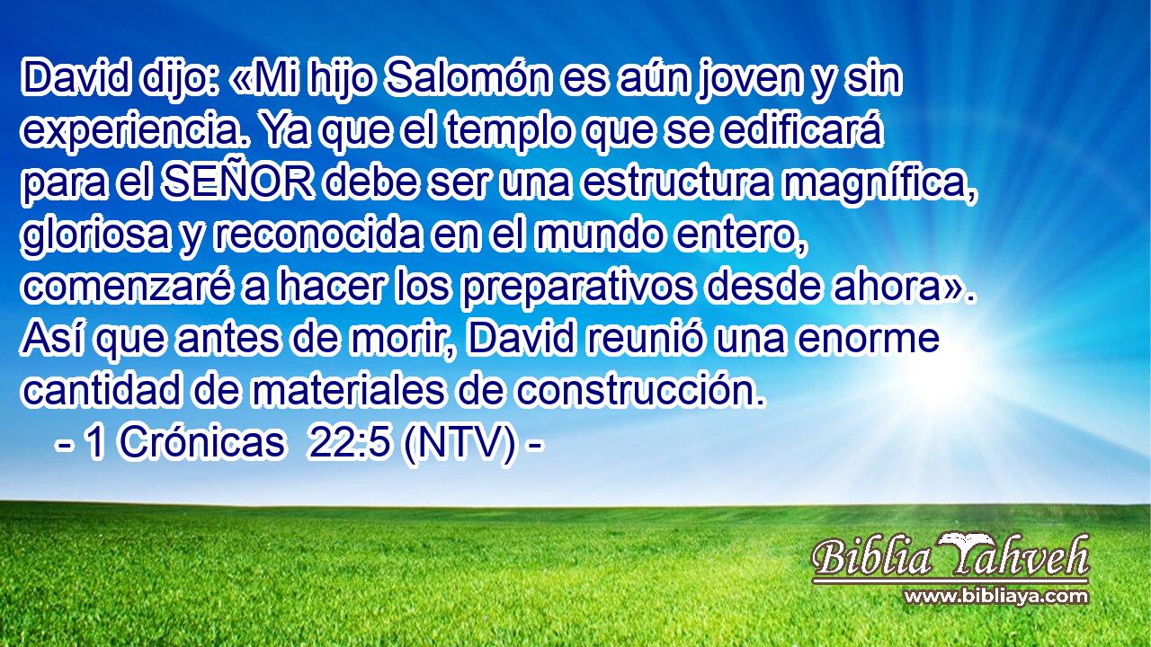 David dijo: «Mi hijo Salomón es aún joven y sin experiencia. Ya que el templo que se edificará para el SEÑOR debe ser una estructura magnífica, gloriosa y reconocida en el mundo entero, comenzaré a hacer los preparativos desde ahora». Así que antes de morir, David reunió una enorme cantidad de materiales de construcción.