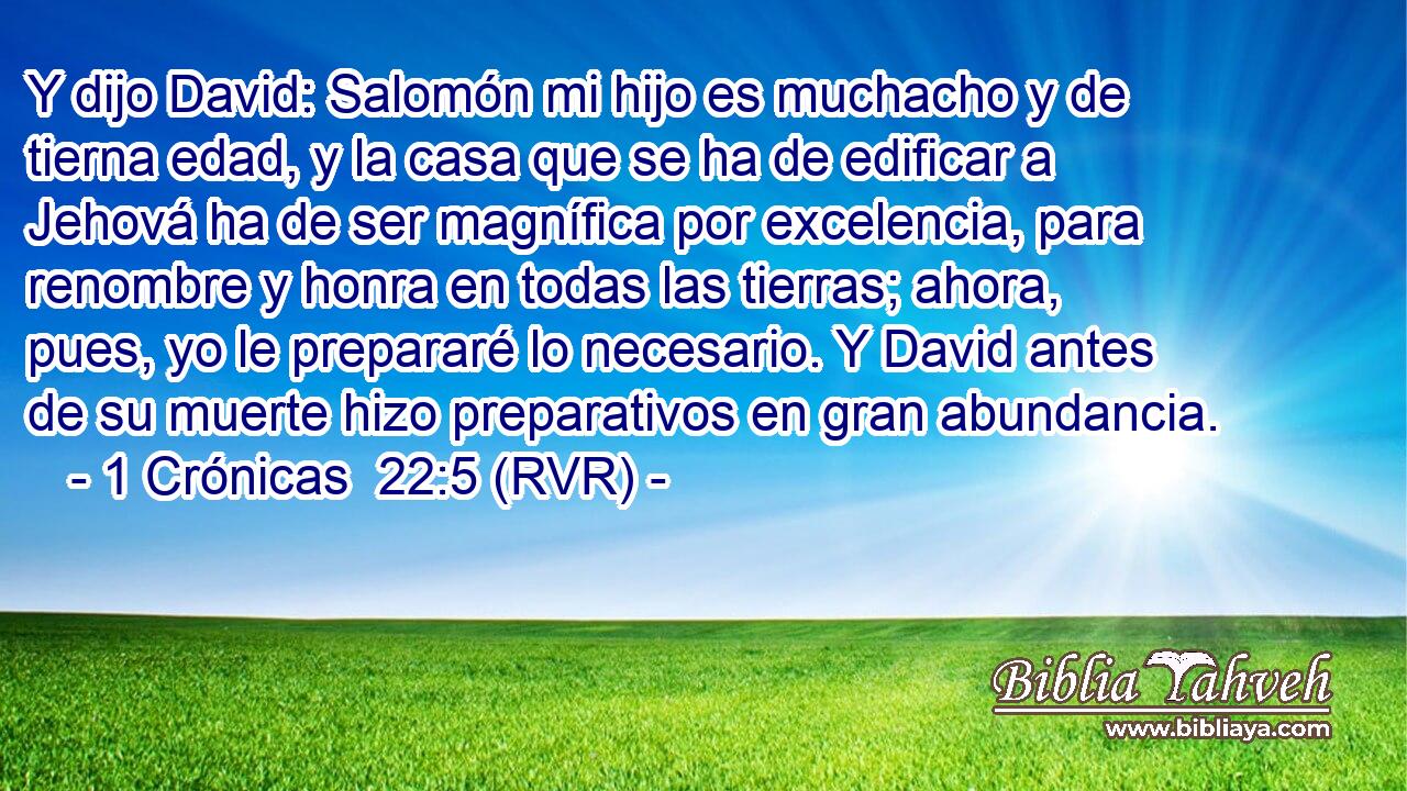 Y dijo David: Salomón mi hijo es muchacho y de tierna edad, y la casa que se ha de edificar a Jehová ha de ser magnífica por excelencia, para renombre y honra en todas las tierras; ahora, pues, yo le prepararé lo necesario. Y David antes de su muerte hizo preparativos en gran abundancia.