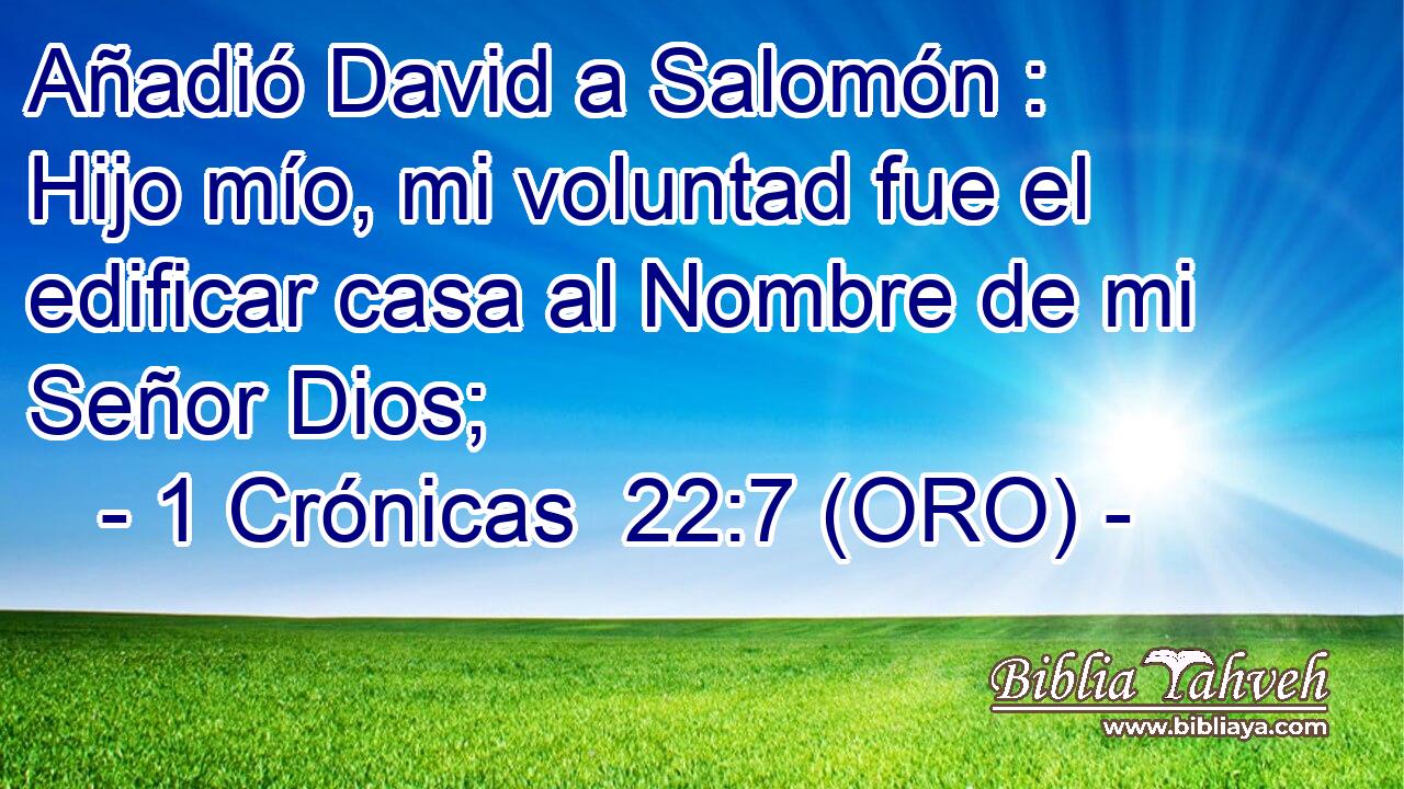  Añadió David a Salomón : Hijo mío, mi voluntad fue el edificar casa al Nombre de mi Señor Dios; 