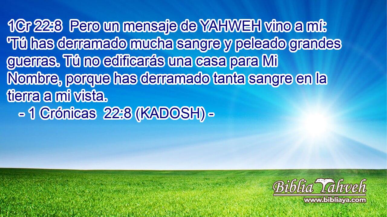  Pero un mensaje de YAHWEH vino a mí: 'Tú has derramado mucha sangre y peleado grandes guerras. Tú no edificarás una casa para Mi Nombre, porque has derramado tanta sangre en la tierra a mi vista. 