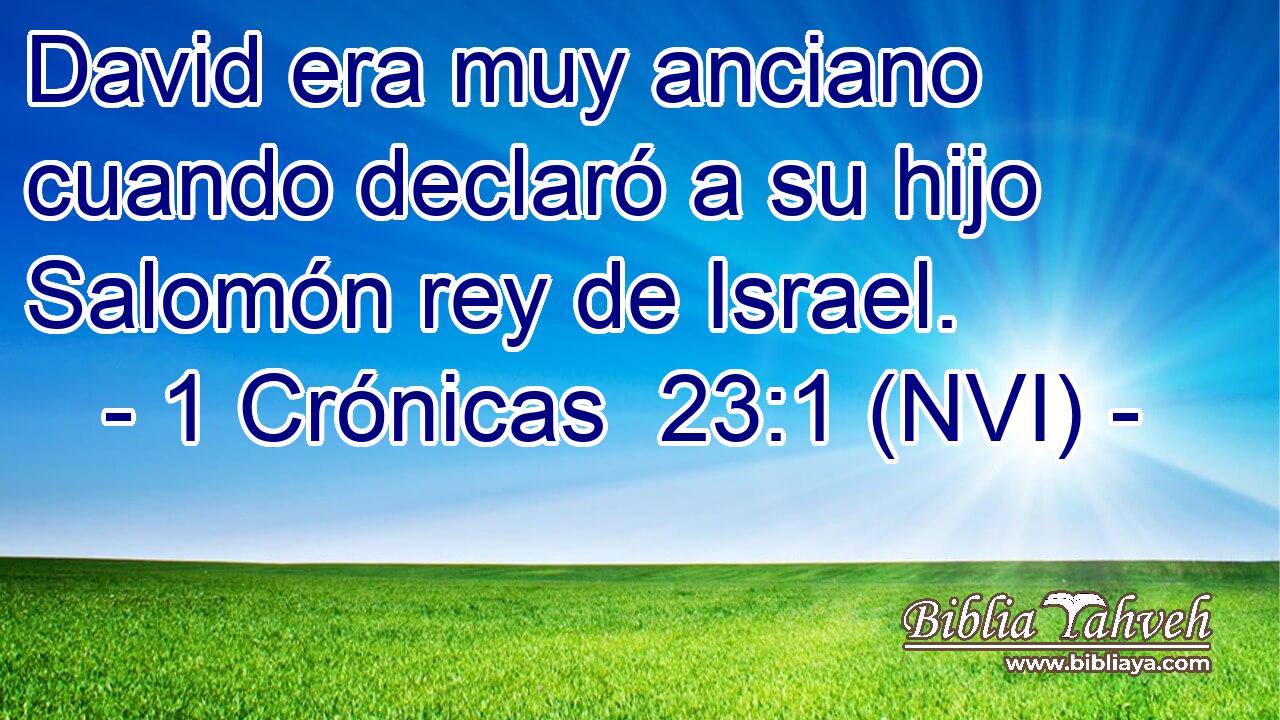  David era muy anciano cuando declaró a su hijo Salomón rey de Israel. 