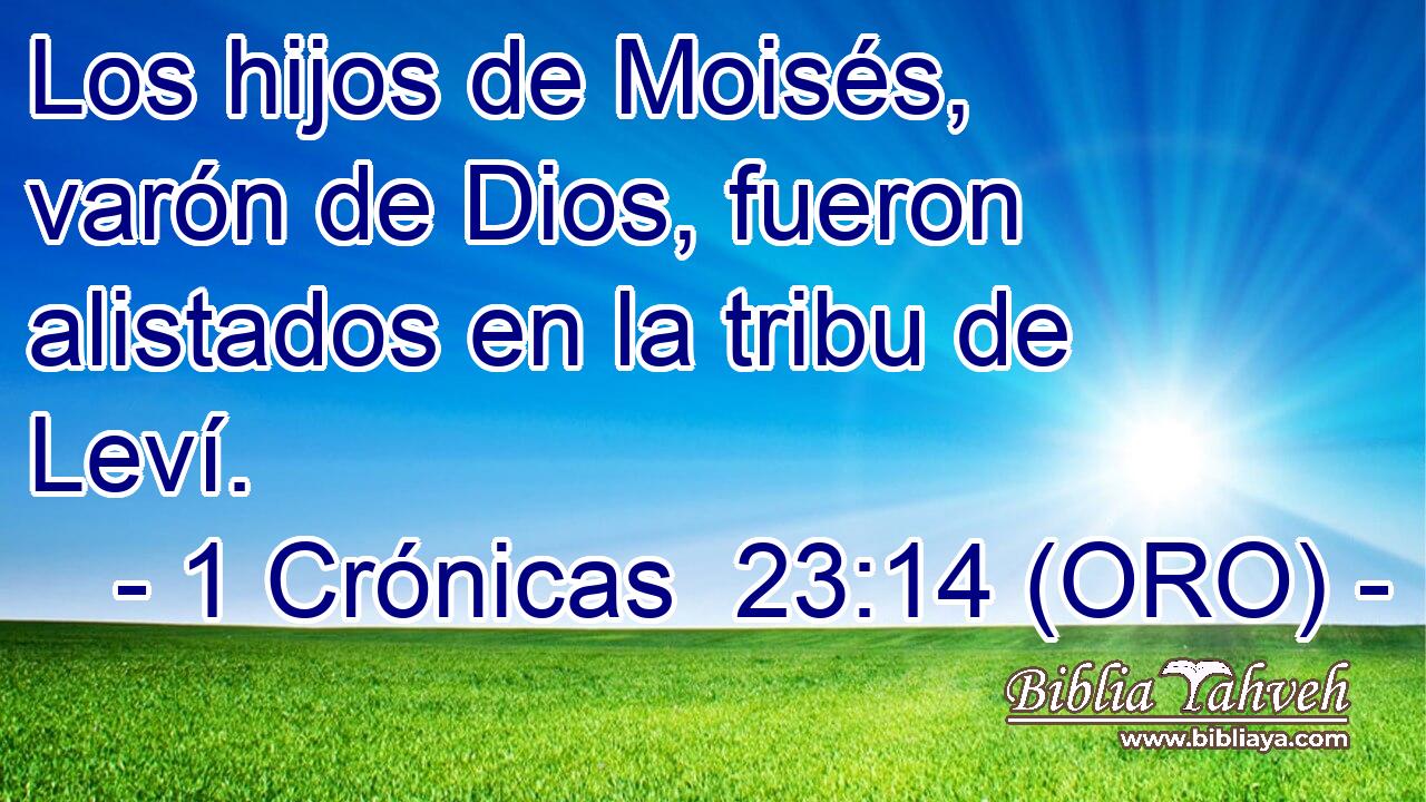  Los hijos de Moisés, varón de Dios, fueron alistados en la tribu de Leví. 