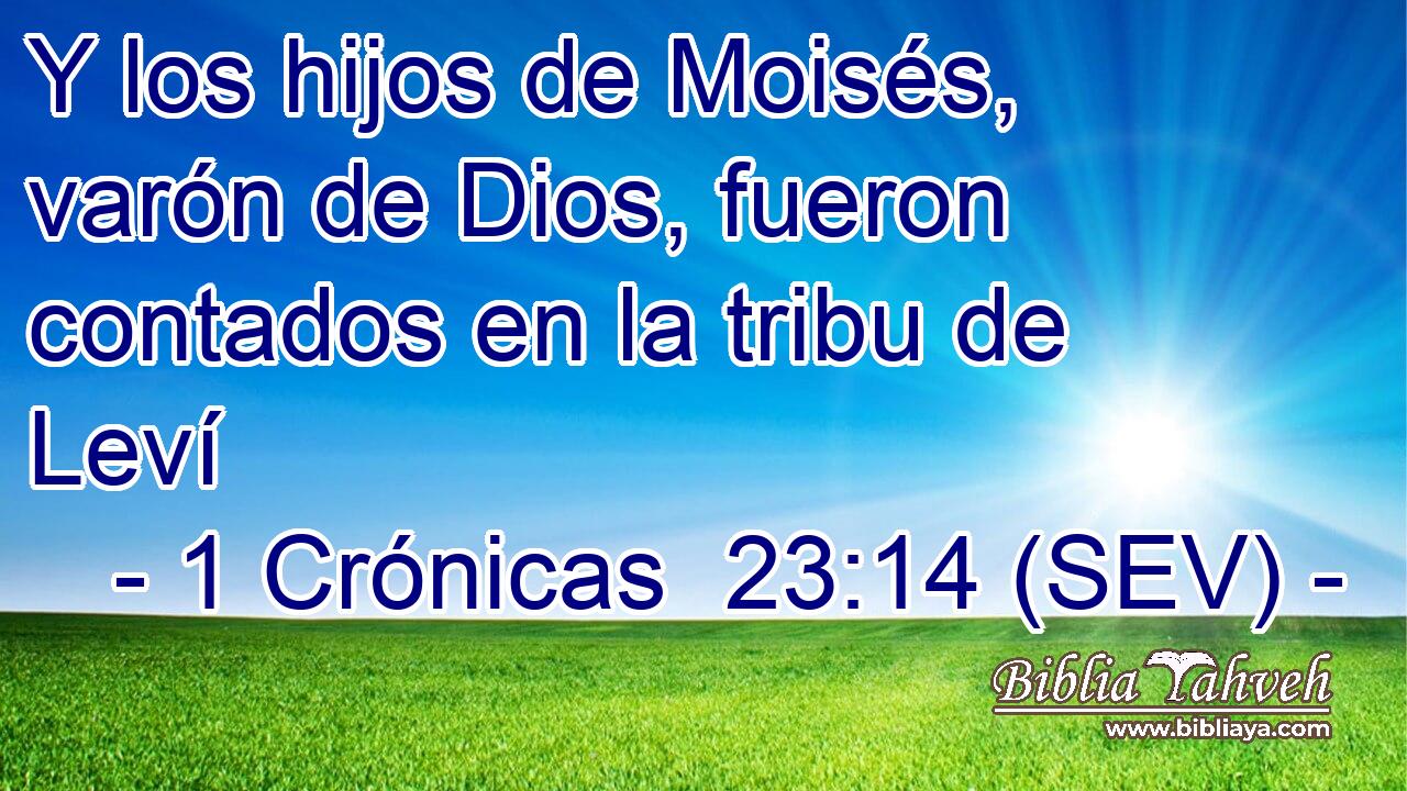 Y los hijos de Moisés, varón de Dios, fueron contados en la tribu de Leví