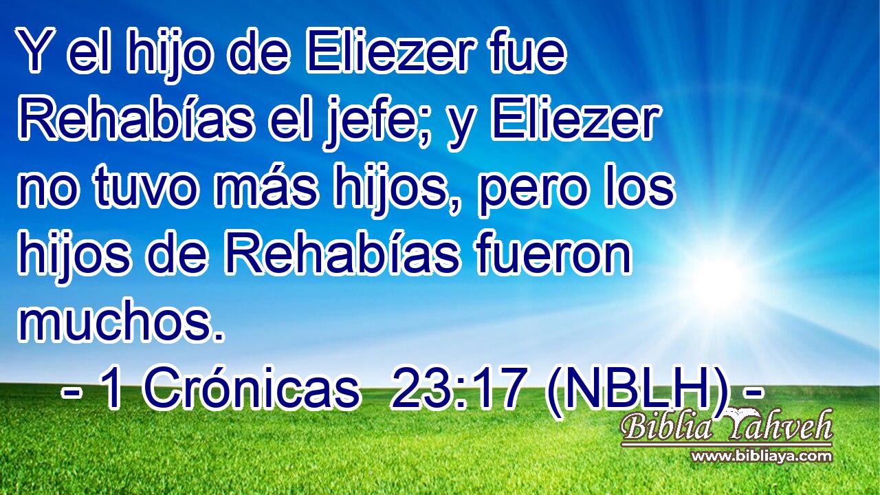  Y el hijo de Eliezer fue Rehabías el jefe; y Eliezer no tuvo más hijos, pero los hijos de Rehabías fueron muchos. 