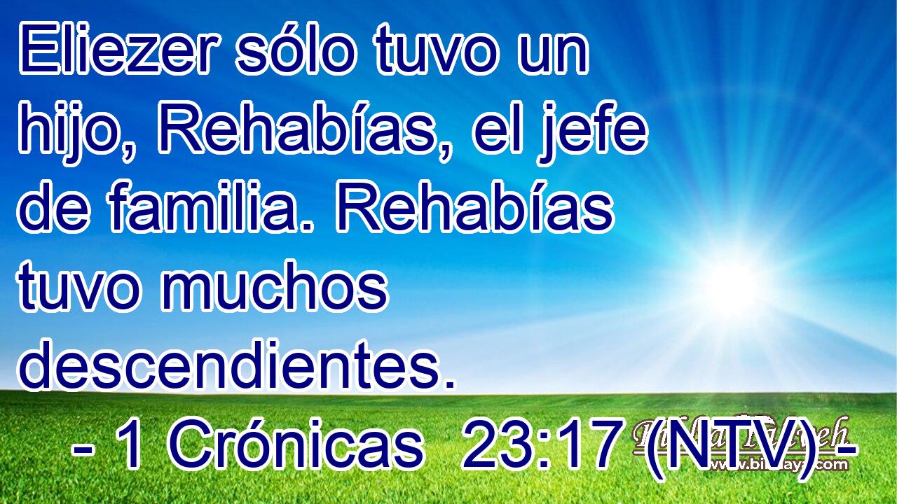 Eliezer sólo tuvo un hijo, Rehabías, el jefe de familia. Rehabías tuvo muchos descendientes.