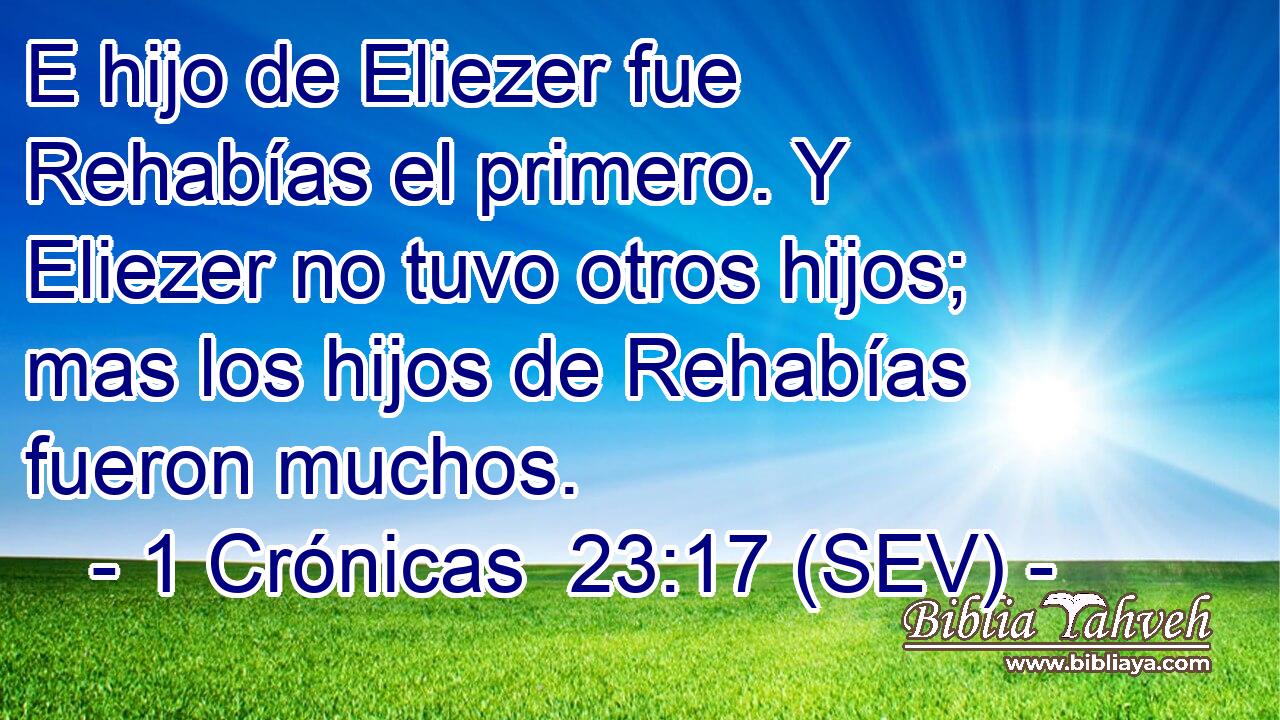 E hijo de Eliezer fue Rehabías el primero. Y Eliezer no tuvo otros hijos; mas los hijos de Rehabías fueron muchos.